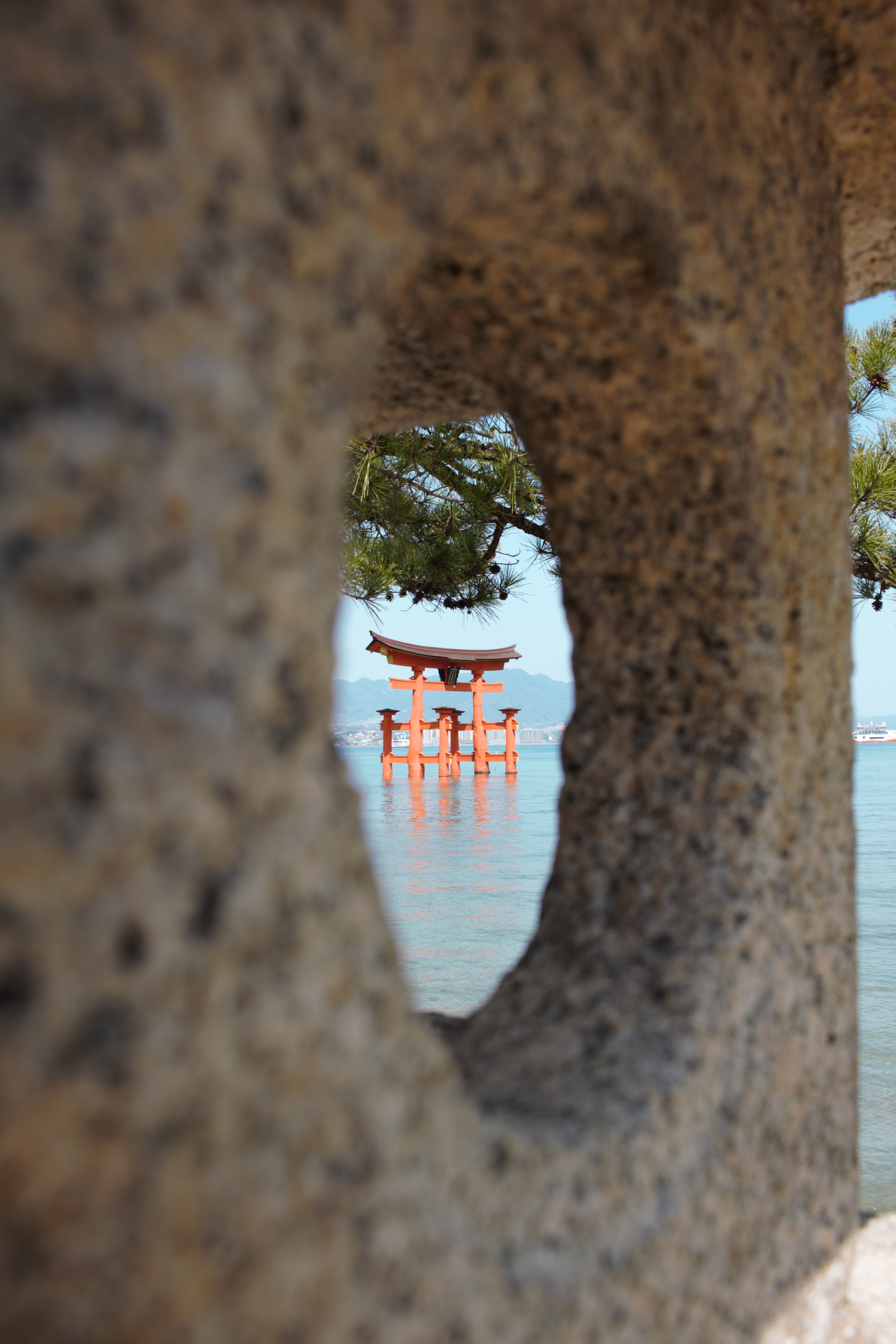 Torii in Miyajima, Japan